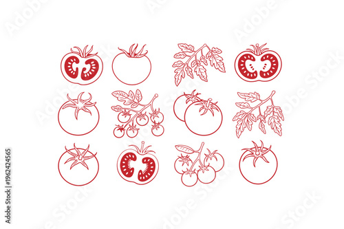 Collection of red line art illustrations of tomatoes and tomato plants fruit vegetable plant