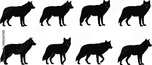 Black and white wolf silhouette set featuring wild predators in various standing and walking poses isolated on white background for wildlife and nature design.