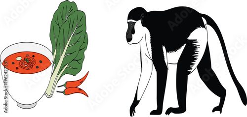 Flat vector illustration set featuring a black and white colobus monkey alongside a bowl of spicy tomato soup with chilis and bok choy.