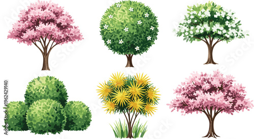 Detailed vector illustration set of various flowering trees and garden shrubs including pink cherry blossoms and green topiary bushes for landscape architecture and nature design.