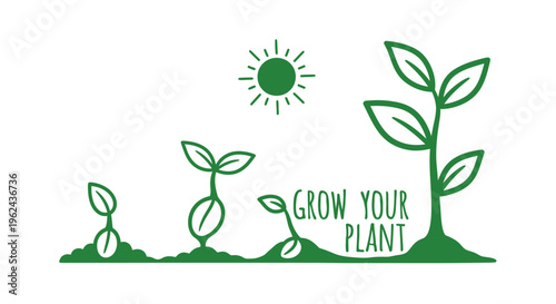 Simple vector illustration depicting the complete growth cycle of a plant, from seed germination to a mature sprout, symbolizing natural development and new life