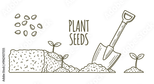 Detailed line art illustration showcasing the process of planting seeds and early plant growth in fertile soil with a gardening shovel