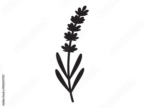 Lavender stalk silhouette with calming aromatic floral essence 