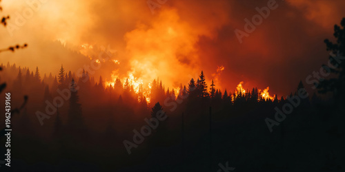 Forest fire burning in wilderness during night. Massive wildfire destroying evergreen coniferous trees. Heat, disaster, and climate change concept. Environment rescue and flame suppression. Banner