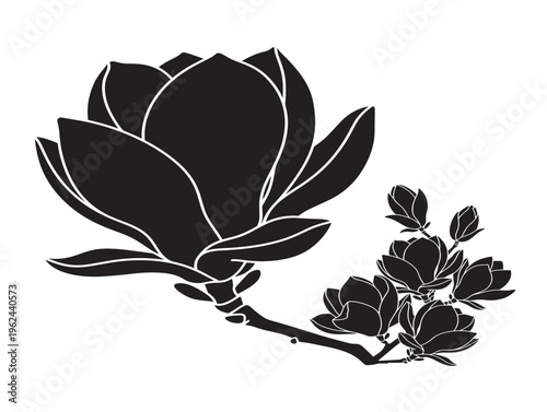 Magnolia blossom refined elegant floral silhouette vector artwork 