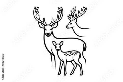 A minimalist black and white illustration depicts a mature stag doe and fawn deer family
