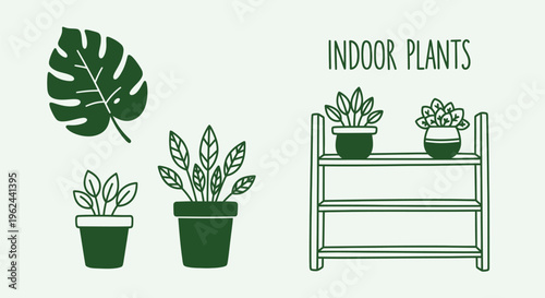 Vector illustration set showcasing various popular indoor house plants, potted greenery, and botanical elements, ideal for home decor, garden themes, and natural design projects