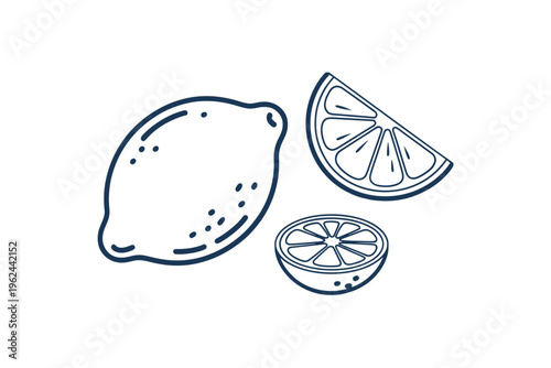 Simple line art illustration of a whole lemon and two lemon slices showcasing citrus fruit