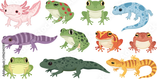 Cute Amphibians and Reptiles Vector Set Featuring Frogs Salamander Axolotl Gecko and Lizard Cartoon Characters Isolated Wildlife Collection Illustration