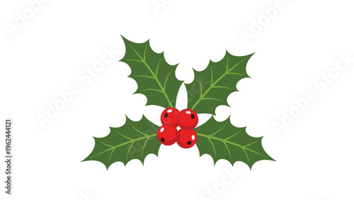 Traditional Christmas holly leaves and bright red berries illustration for winter holiday decorations and seasonal greeting card designs.