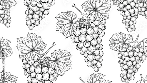 Seamless pattern of detailed hand-drawn grape clusters and vine leaves in a classic black and white engraved style.