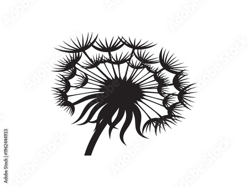 Delicate dandelion seed head silhouette with airy floating seed detail 