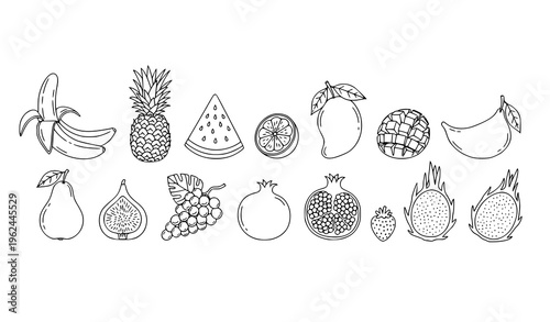 Minimal tropical fruit line art doodle set banana pineapple mango and more vector isolated on white background