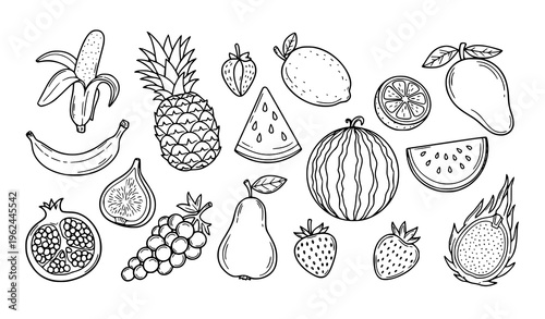 Tropical fruit doodle line art set banana pineapple watermelon and more vector isolated on white background