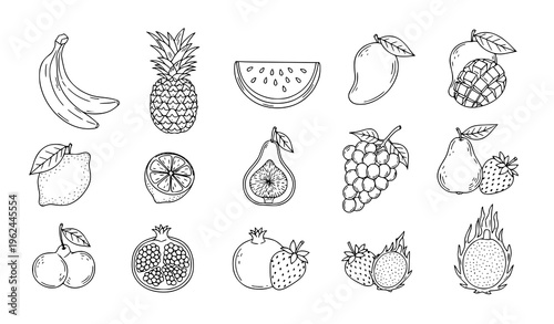 Hand drawn tropical fruit doodle collection line art set vector isolated on white background
