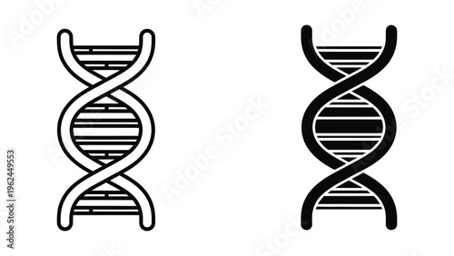 Contrasting visual representations of double helix dna structures with varying line weights
