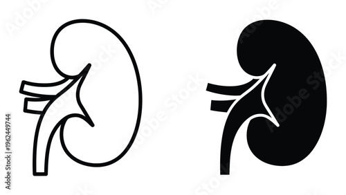 Comparison of a healthy kidney versus one with significant damage or disease