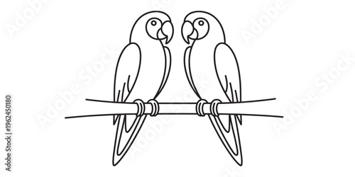 Two parrots sitting on a branch, black and white illustration