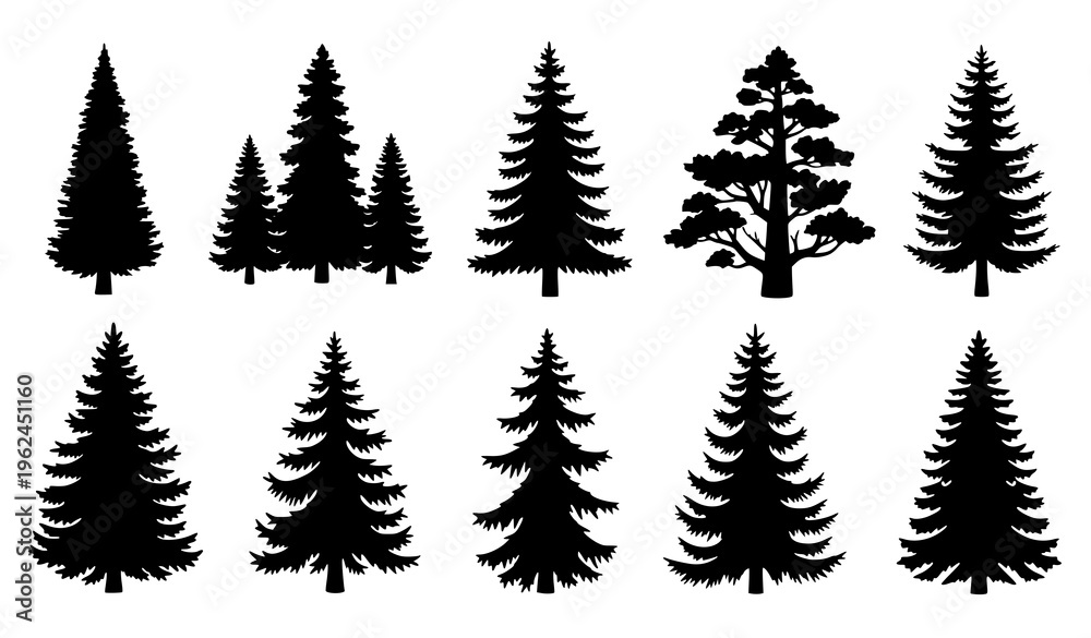 Obraz premium Wild Forest Tree Silhouettes – Black Vector Evergreen and Conifer Shapes
