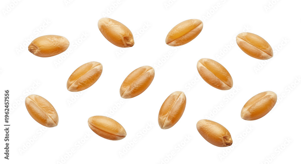 Obraz premium A scattered arrangement of wheat kernels showcasing natural texture and detail on transparent background high quality