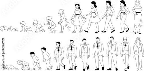 Aging process and life cycle stages of man and woman from baby to adult in line art style vector
