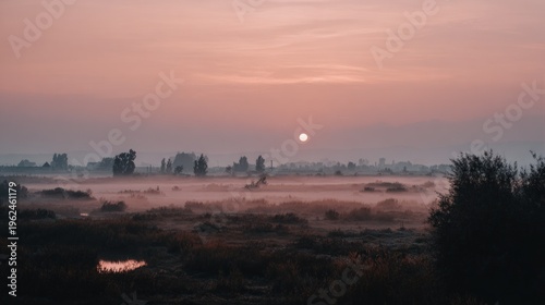 Tranquil landscape scene during sunrise with misty atmosphere and soft light