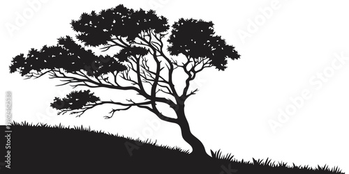 A black silhouette of a tree on a hill
