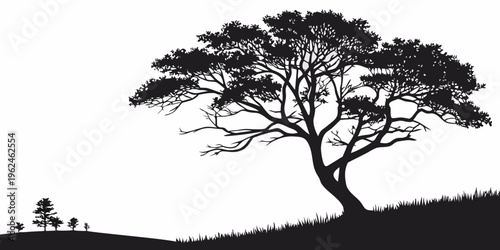 A large tree on a hill with smaller trees in the distance