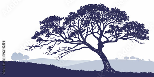 A large tree with many branches and leaves on a hill