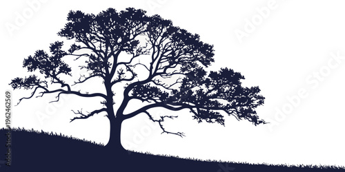 A large tree with many branches on a hill