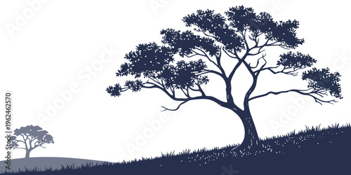 A large tree on a grassy hill with a smaller tree in the background