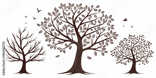 Three trees with different types of leaves and branches