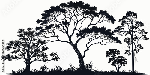 A group of trees and bushes in a landscape