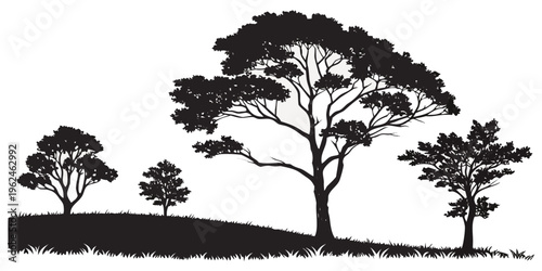Silhouette of trees on a grassy hill