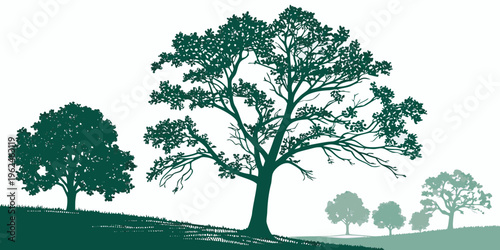 A group of trees on a hill