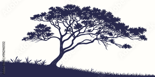 A tree on a hill with grass