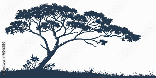 A tree with a sprawling canopy and grassy hill