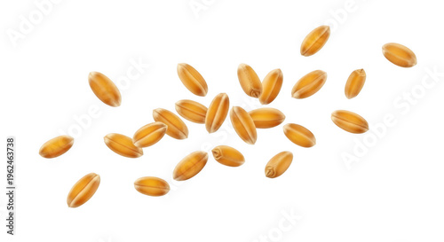 A scattering of golden wheat grains floats in the air showcasing their natural texture on transparent background