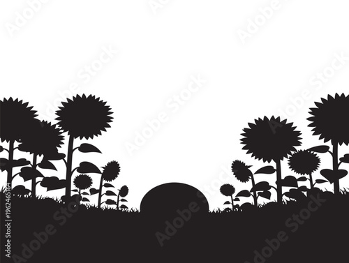 Stunning sunflower field at sunset silhouette with dramatic horizon 