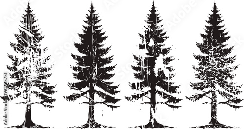 Silhouettes of tall pine trees in black and white with detailed branch and needle patterns
