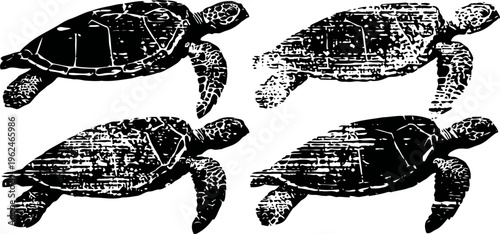 vintage sea turtle illustrations set with textured black silhouette designs in various swimming poses