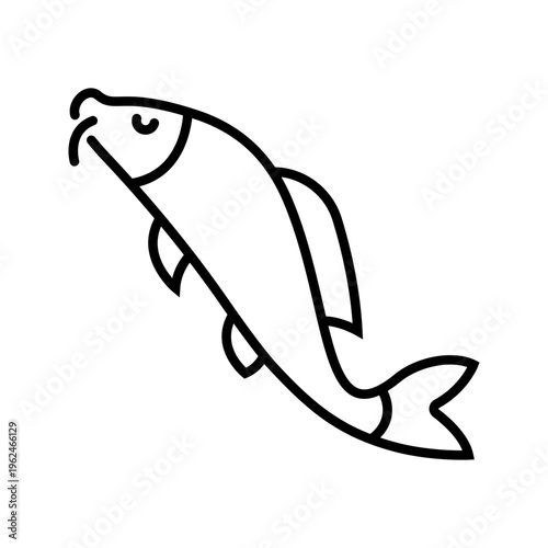 Carp fish icon. Animals and freshwater fish line symbol. Black and white.