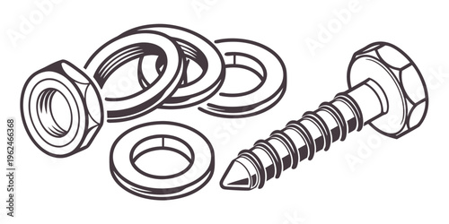 Assorted screws, bolts, and washers displayed on a white background