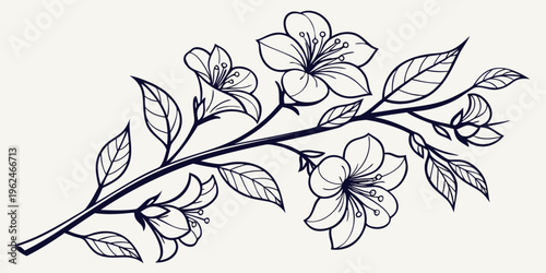 Delicate line art illustration of a branch with blooming flowers