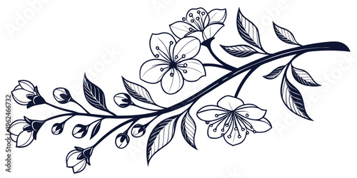 A delicate and intricate black and white illustration of a flowering branch.