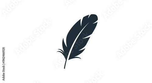 A single black feather on white background.