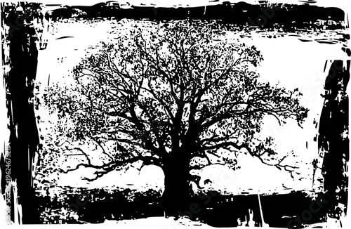 silhouette of a large tree with sprawling branches in a grunge artistic frame