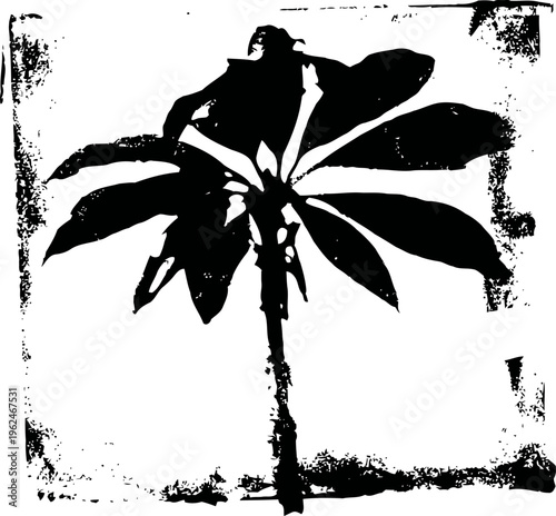 silhouette of tropical palm tree with long leaves in vintage grunge square frame