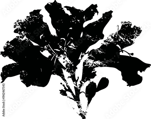 Silhouette of leaves cluster with detailed edges and organic shapes on white background