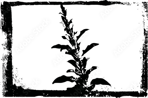 Black silhouette of tall plant with leaves in grunge textured frame, botanical nature art